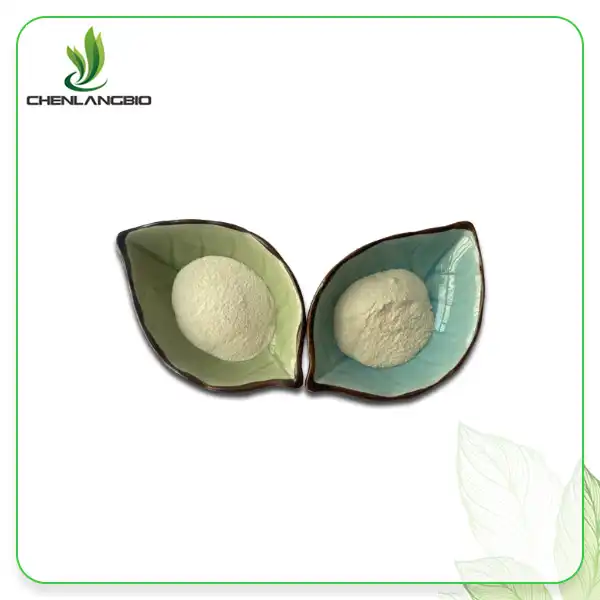 Gynostemma Extract Powder